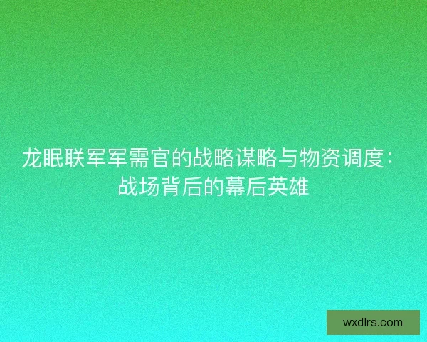 龙眠联军军需官的战略谋略与物资调度：战场背后的幕后英雄