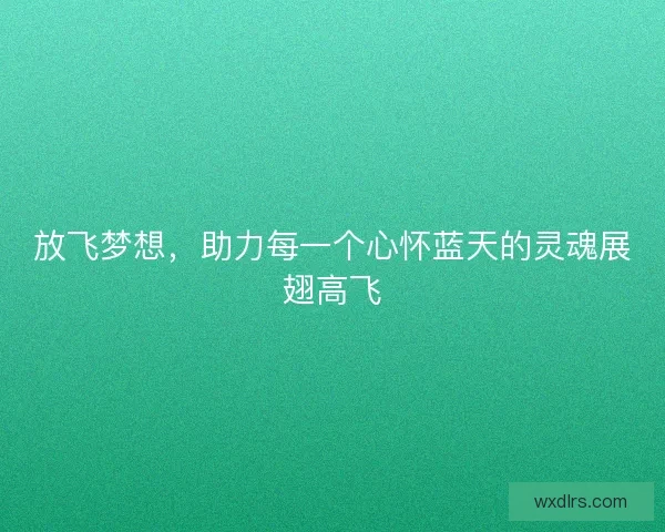 放飞梦想，助力每一个心怀蓝天的灵魂展翅高飞