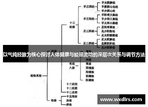 以气纯经脉为核心探讨人体健康与能量流动的深层次关系与调节方法